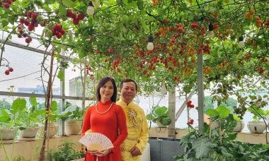 Quá trình hình thành khu vườn
